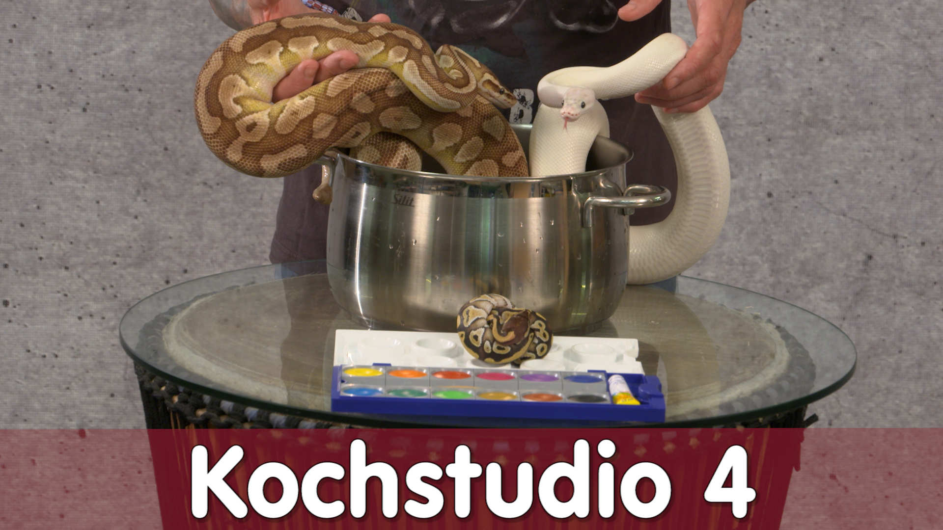 Folge 108 - Kochstudio Teil 4 - Allele
