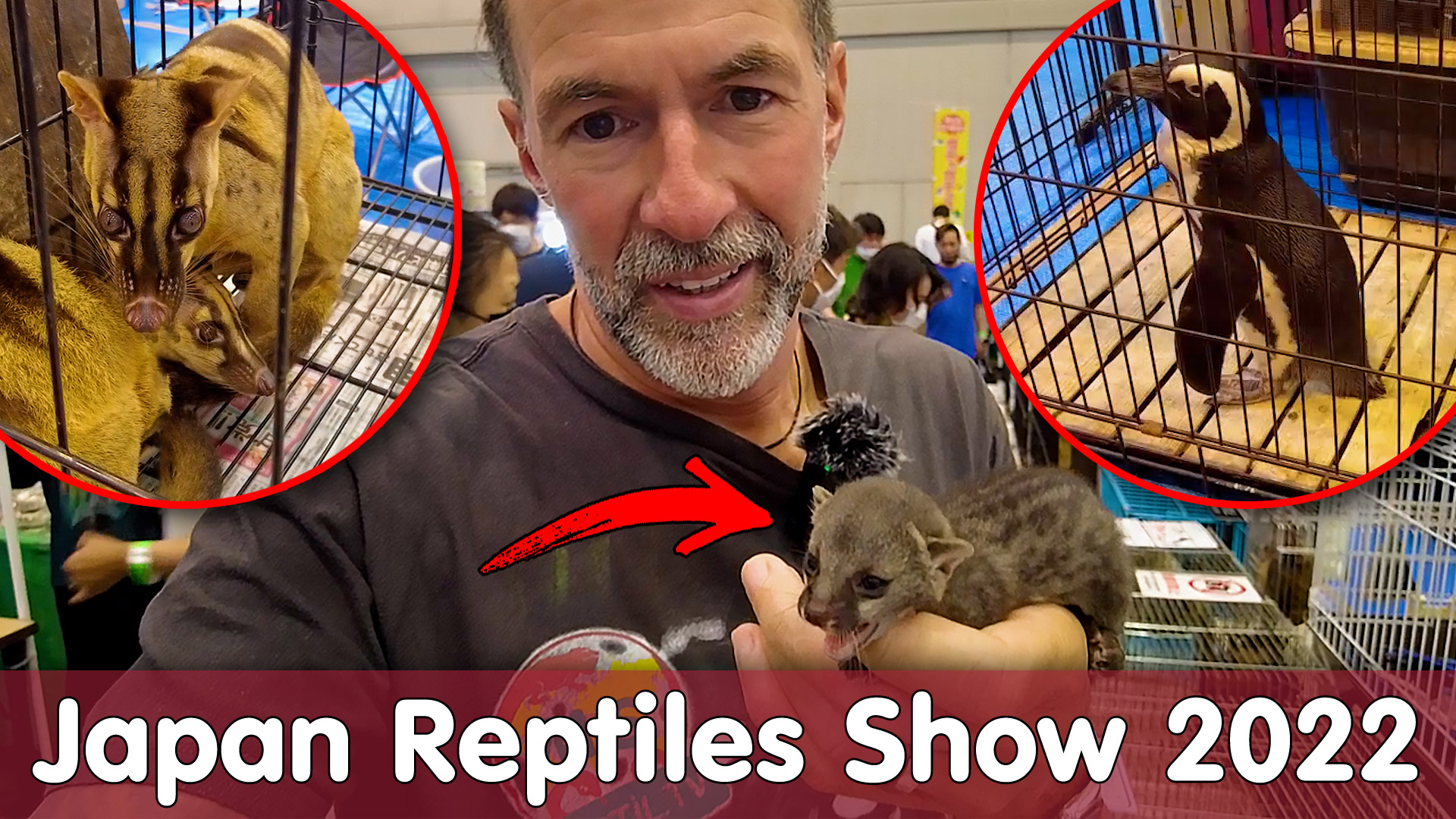 Japan Reptiles Show 2022 | Säugetiere