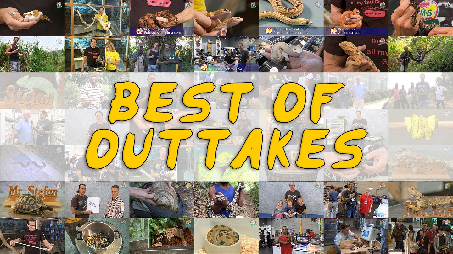 Folge 83 - Best of Outtakes + Best Of DVD