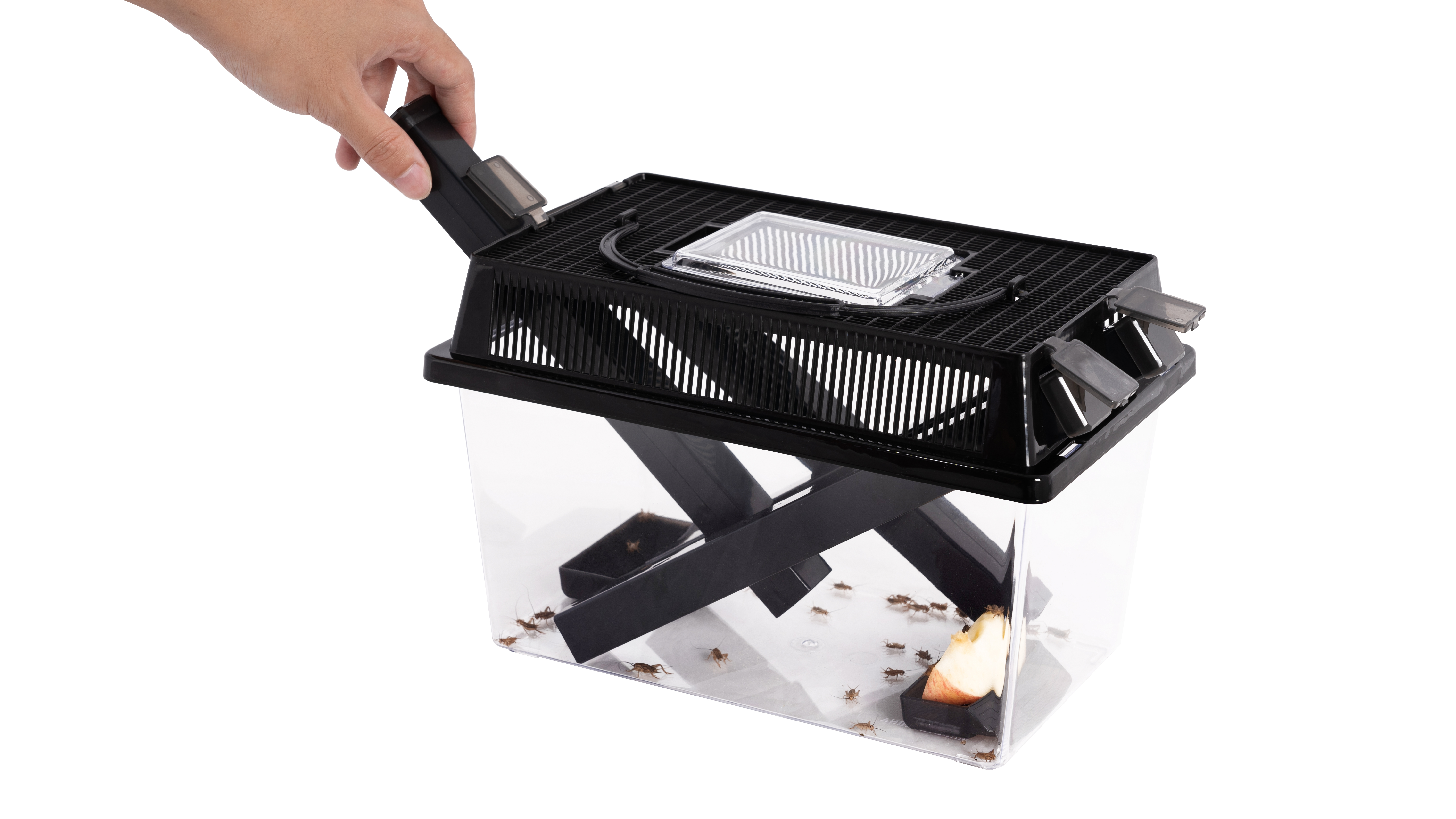 ReptiZoo Cricket Keeper, Heimchenbox, 27 x 17 x 18 cm (RT271718)
