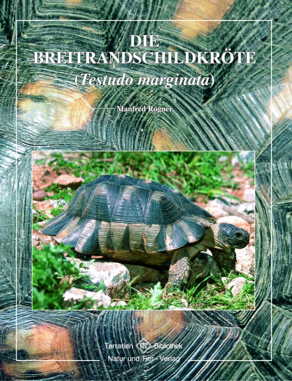 Die Breitrandschildkröte - Testudo marginata (Manfred Rogner)