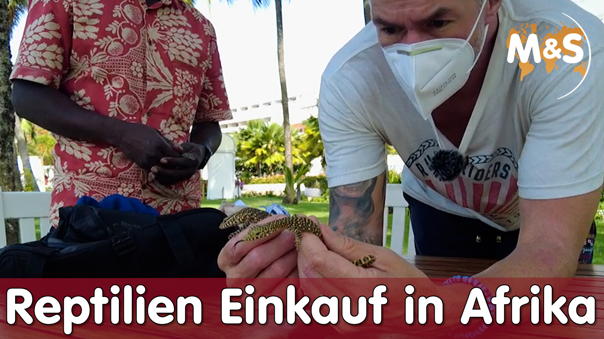 Reptilien Einkauf in Afrika | Ghana / Togo Roadtrip | Reptil TV