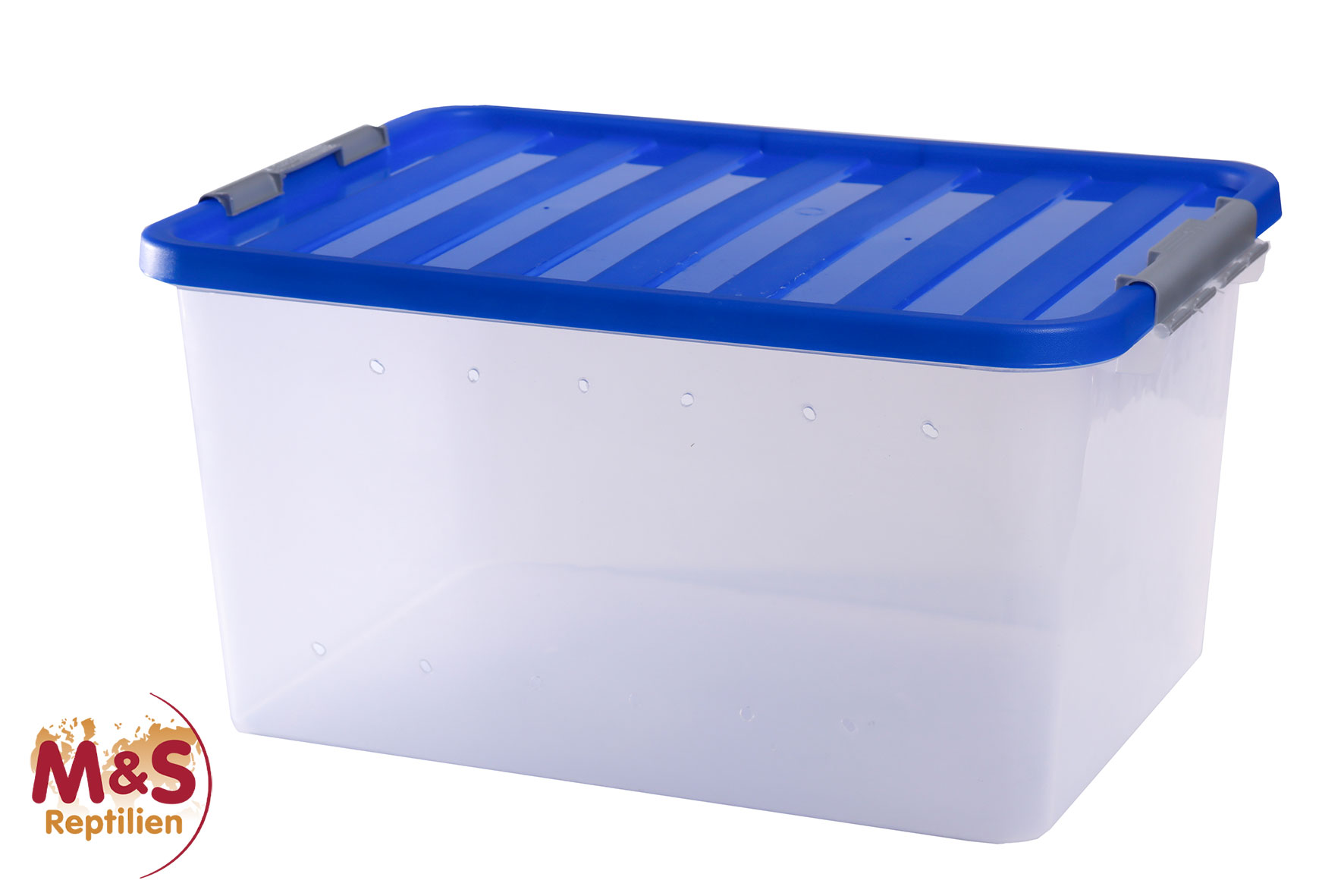 Aufzucht und Transport Box medium, 47x34x26,5cm