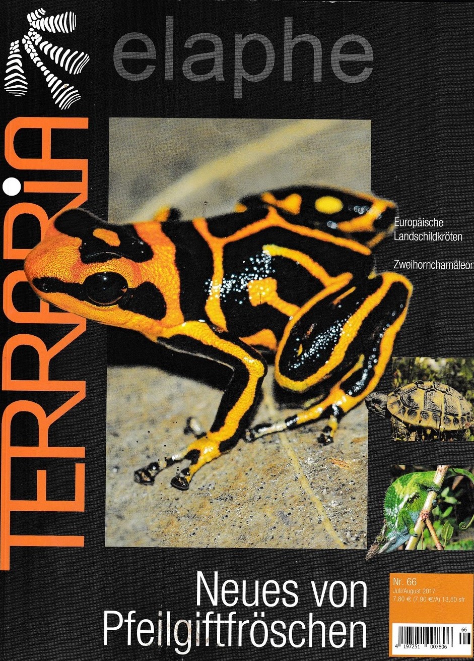 Restposten: Elaphe Fachzeitschrift des DGHT  Heft 66/2017