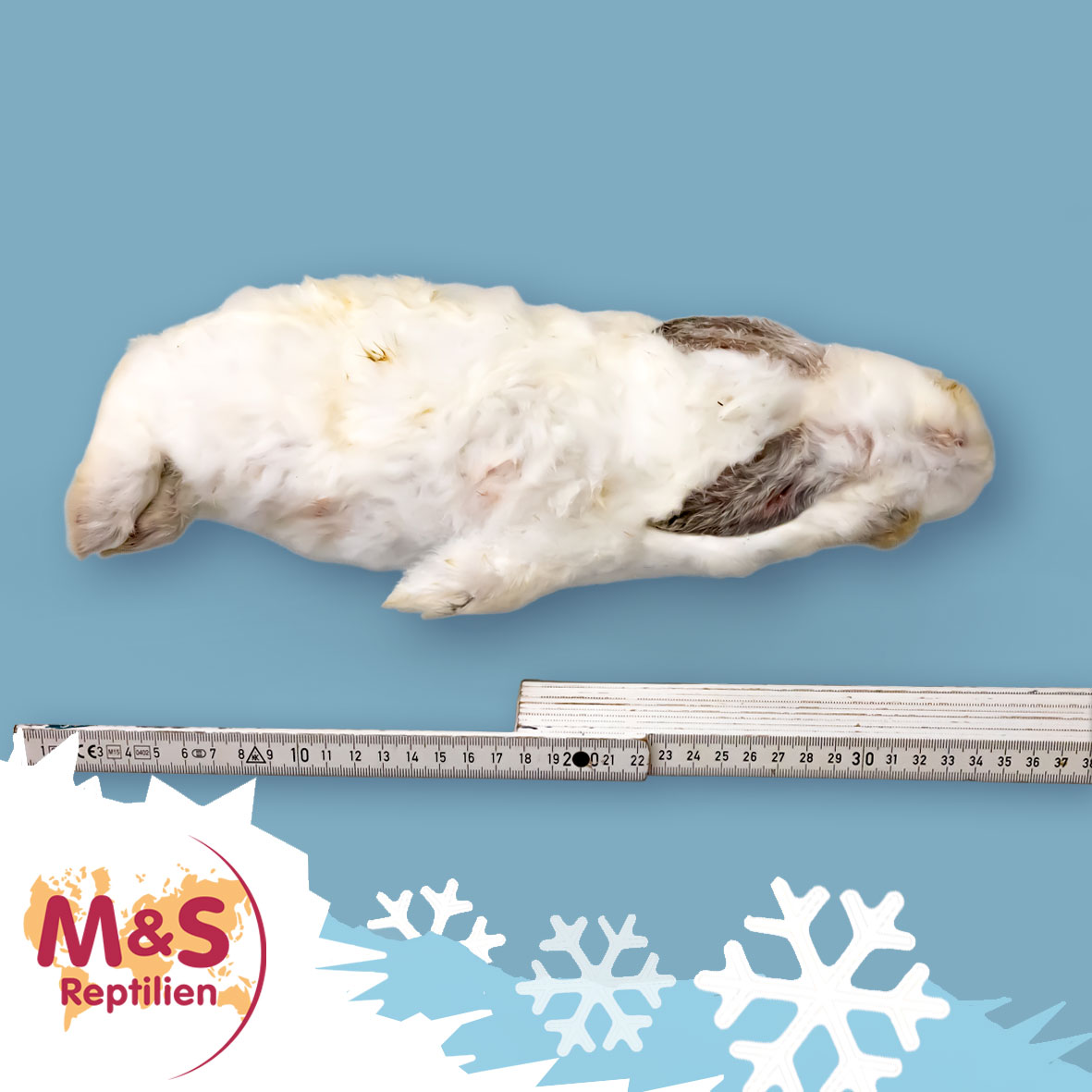 Hase gefroren, ca. 1 kg