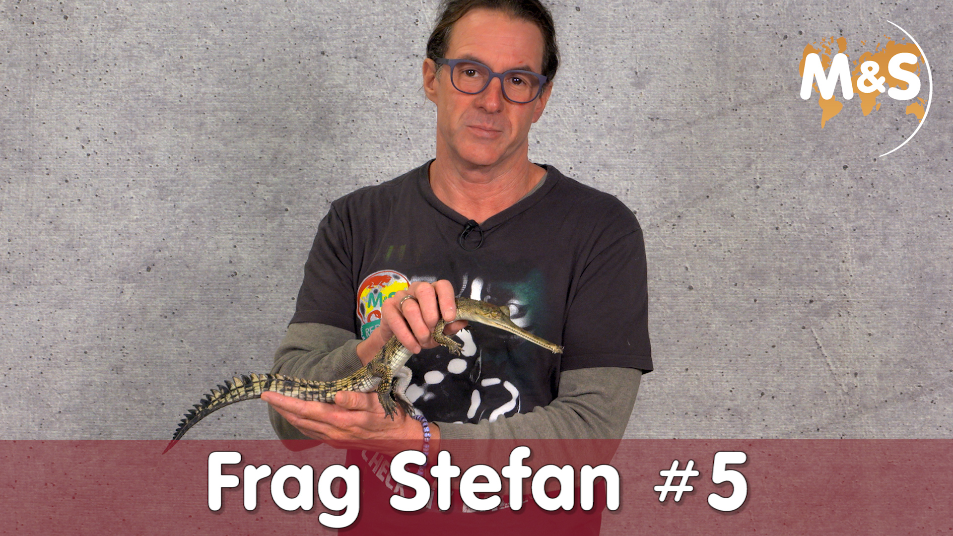 Frag Stefan #5 | Ihr fragt, Ich antworte | Reptil TV