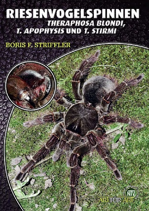 Riesenvogelspinnen - Theraphosa blondi & Theraphosa apophysis & Th.stirmi (Boris F. Striffler)