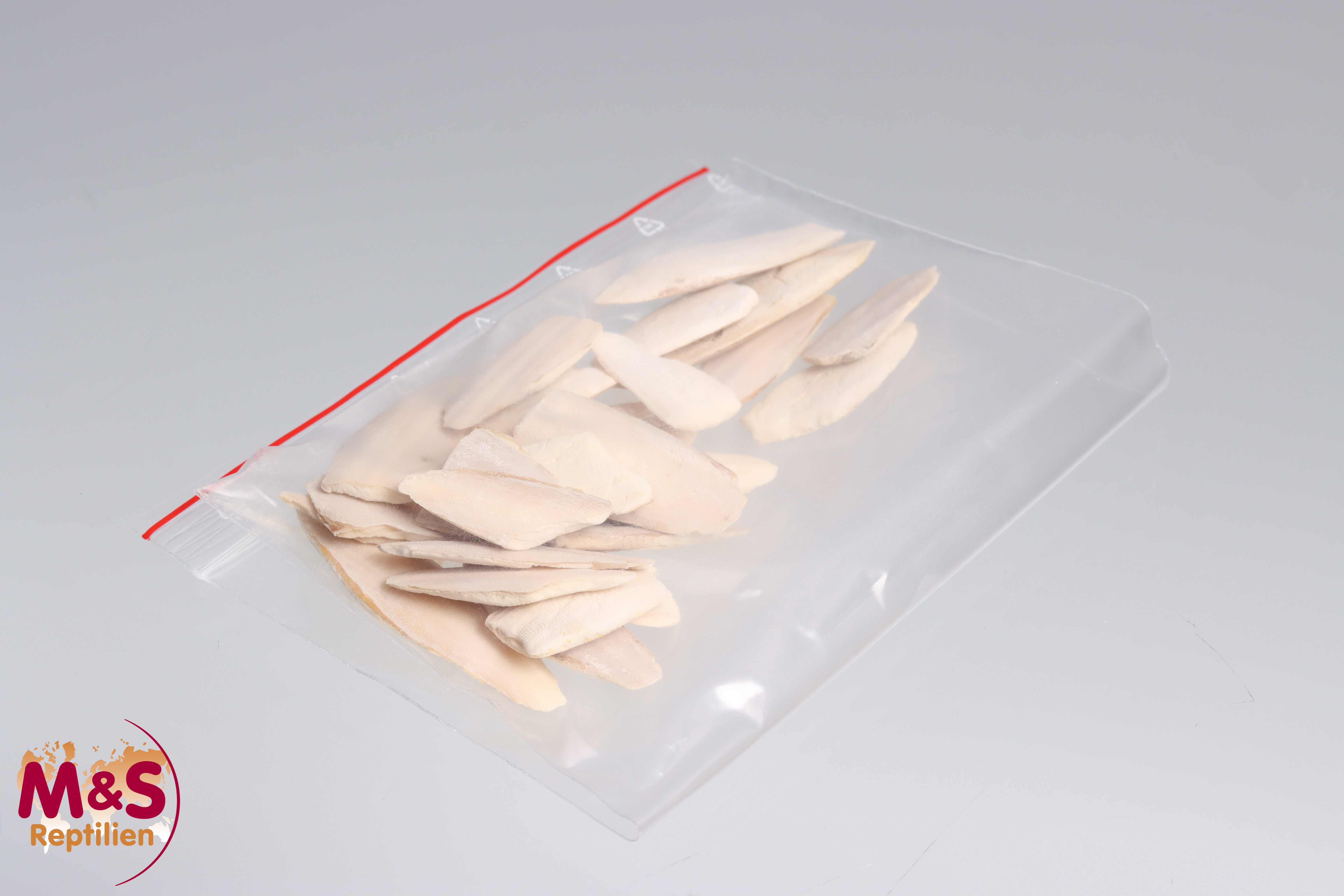 Sepia Schale, naturbelassen, M (ca. 30 g)