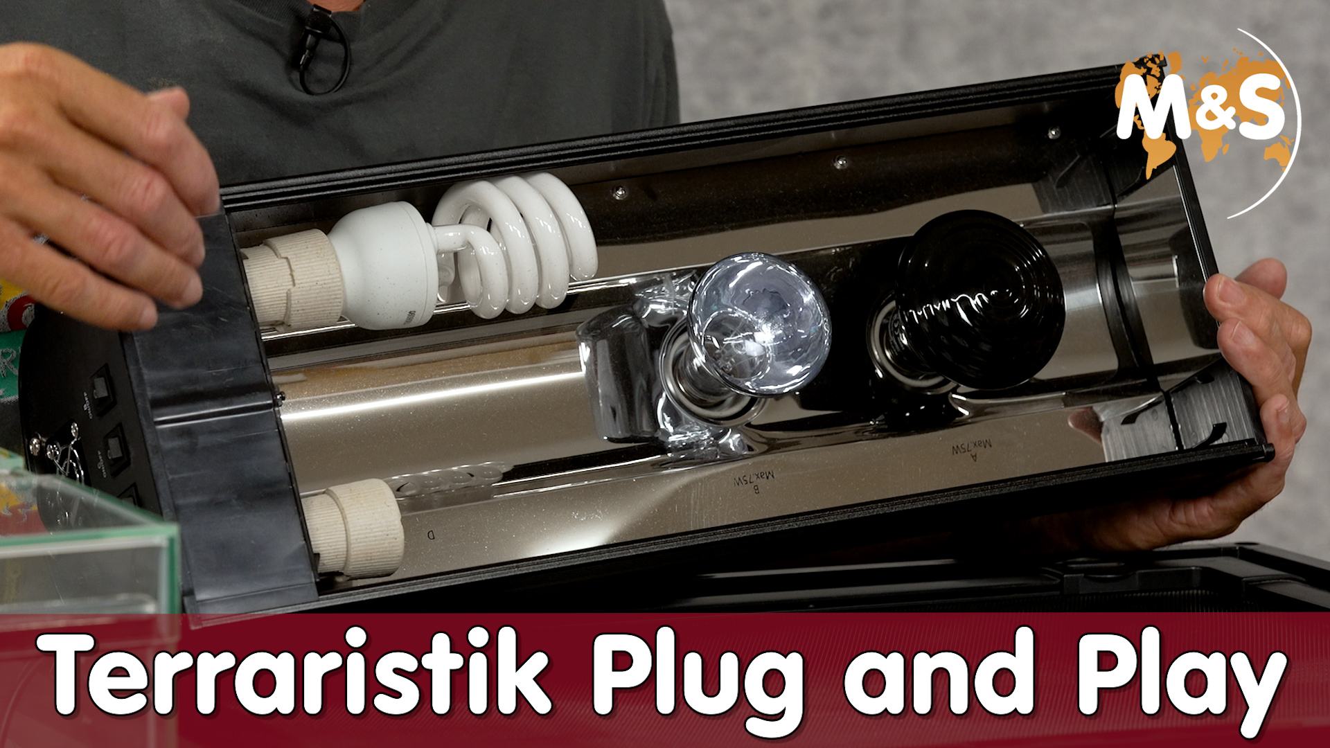 Terraristik Plug and Play | Einstecken und fertig?!? | Reptil TV