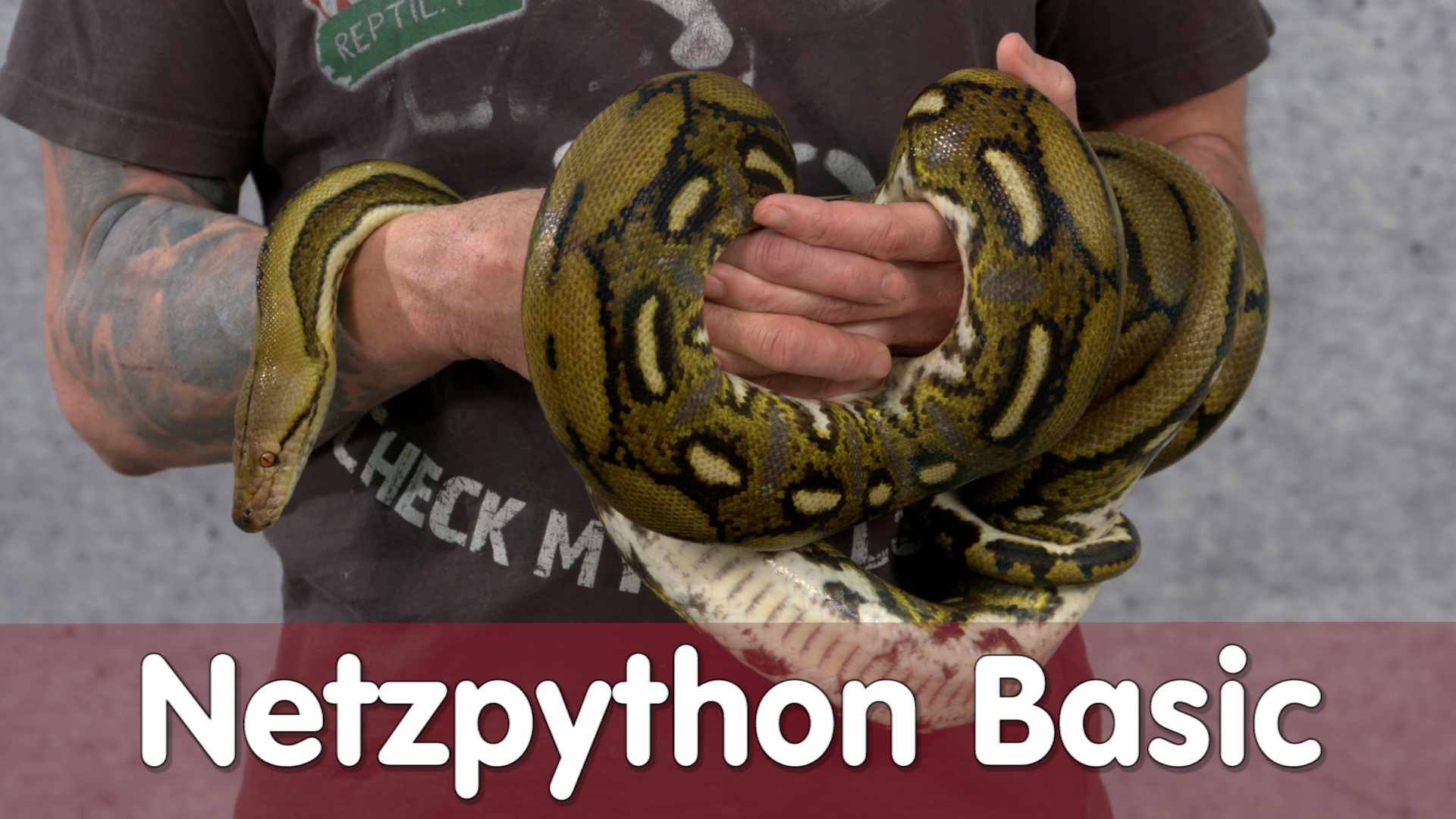 Folge 99 - Netzpython Basic