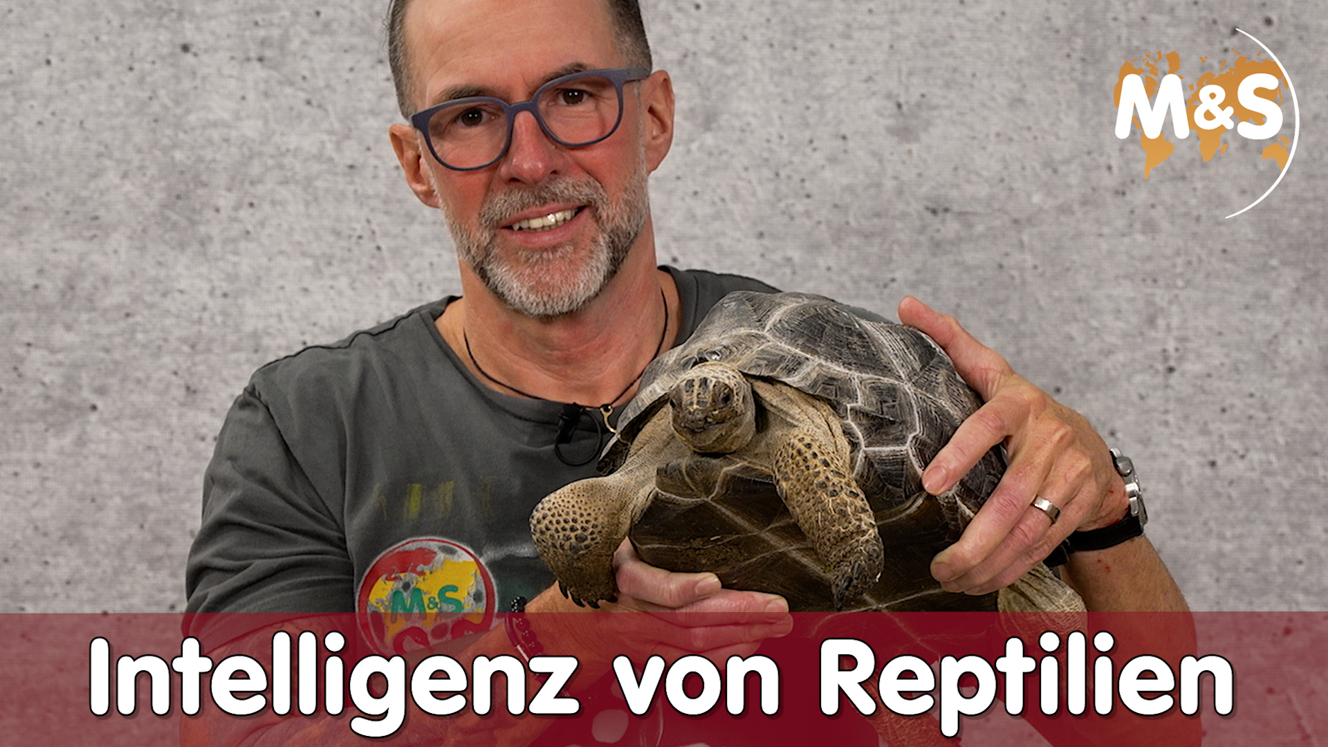 Intelligenz von Reptilien | schlauer als gedacht?