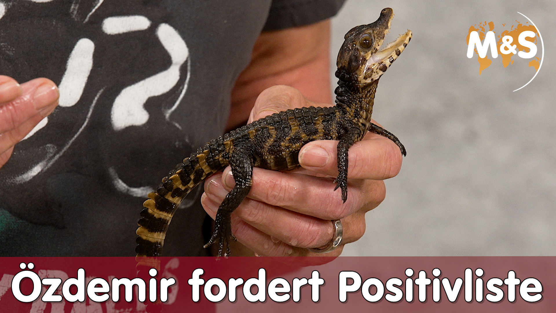 Cem Özdemir fordert Positivliste