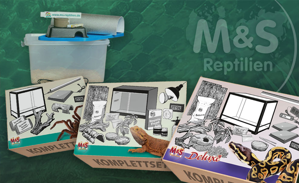 Komplettsets