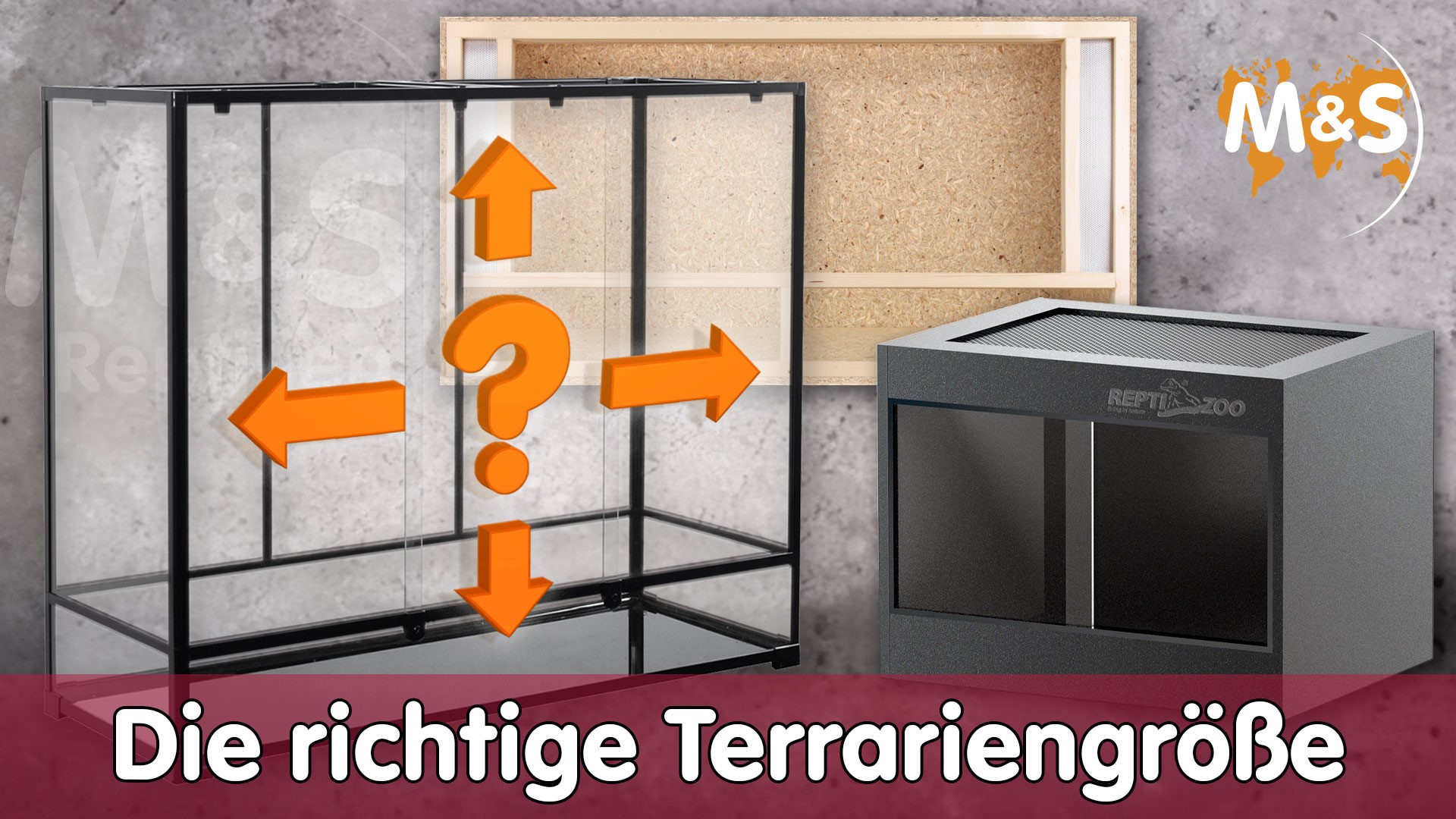 So wählst du das richtige Terrarium für deine Reptilien (Terrarium kaufen)