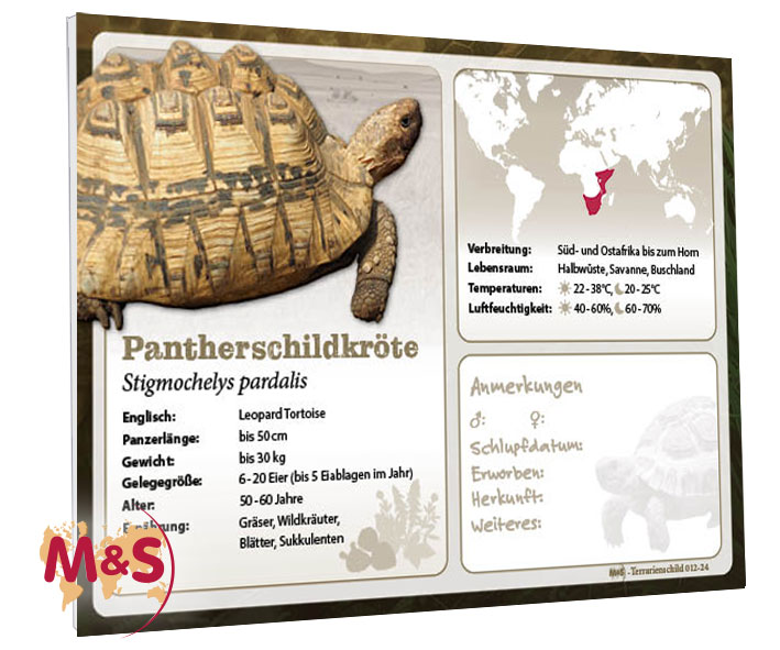Terrarienschild (Zooschild) Pantherschildkröte, Stigmochelys pardalis
