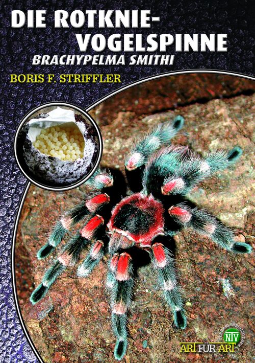 Die Rotknie Vogelspinne - Brachypelma smithi (Boris F. Striffler)
