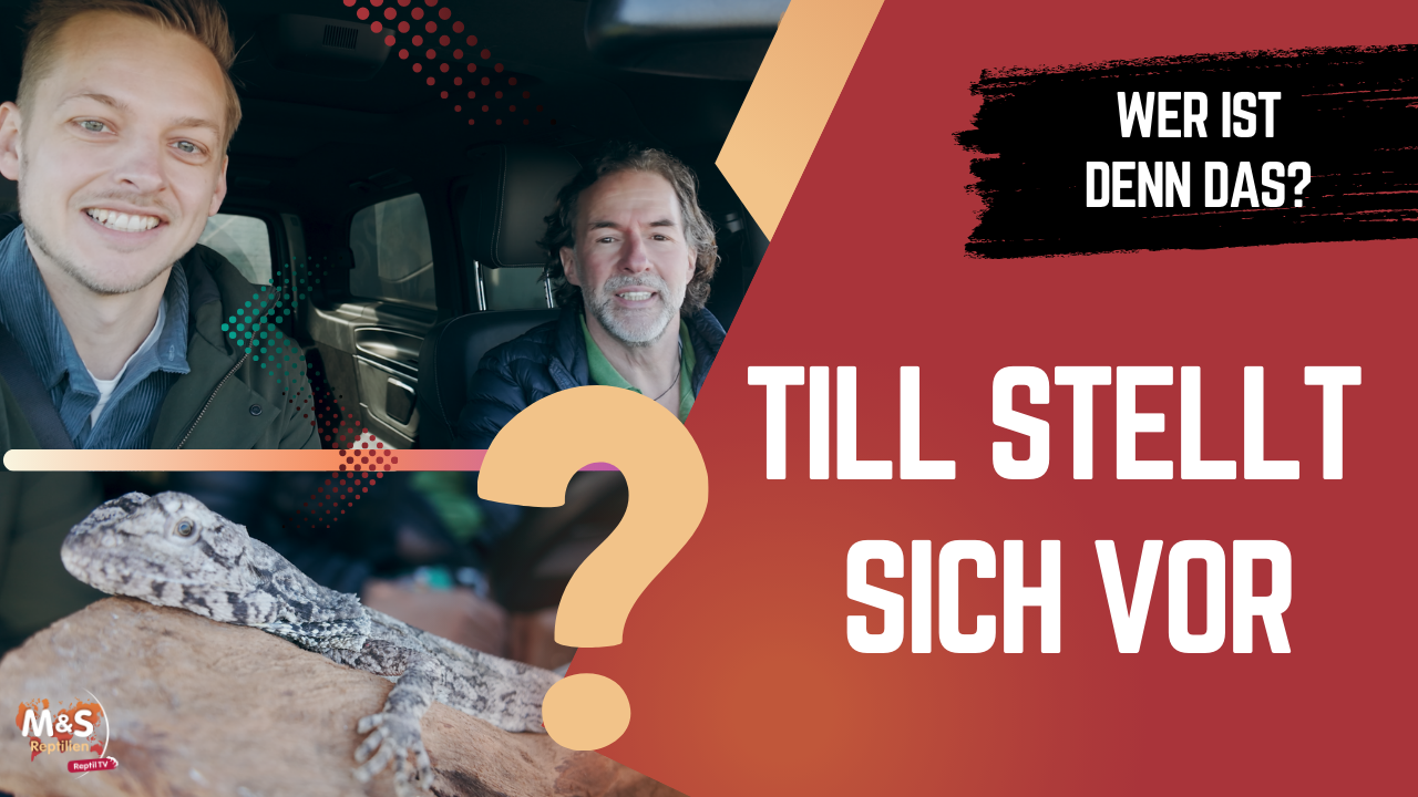 ? Von The Voice zu Reptil TV?! DAS ist unser neuer Cutter Till!