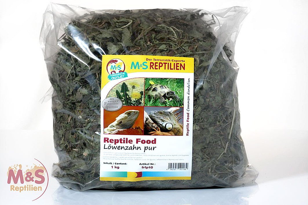 Löwenzahn pur, getrocknet (1 kg)