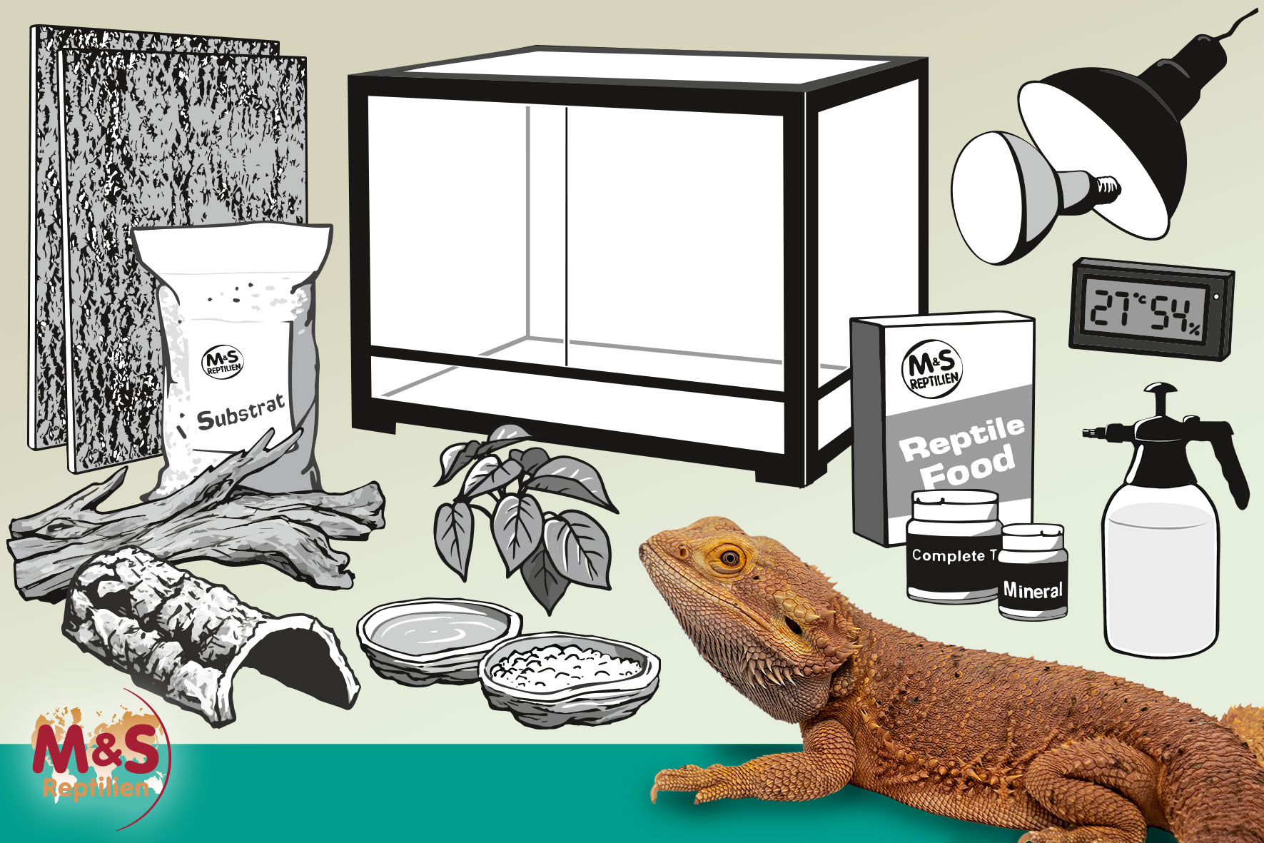 Komplettset: Für Bartagamen (120 cm Länge)