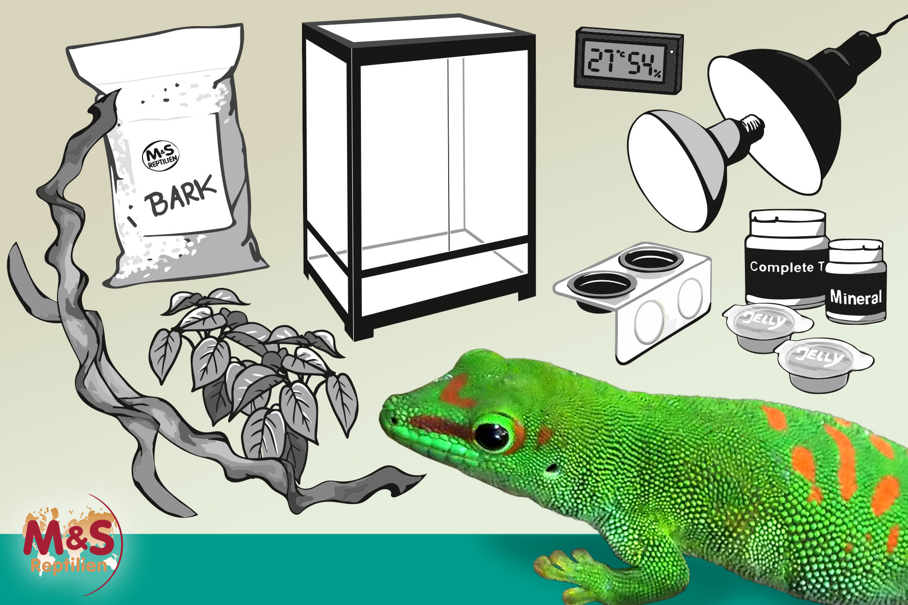 Komplettset: Für baumbewohnende Geckos