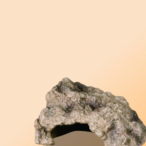 ReptiZoo Hide Cave