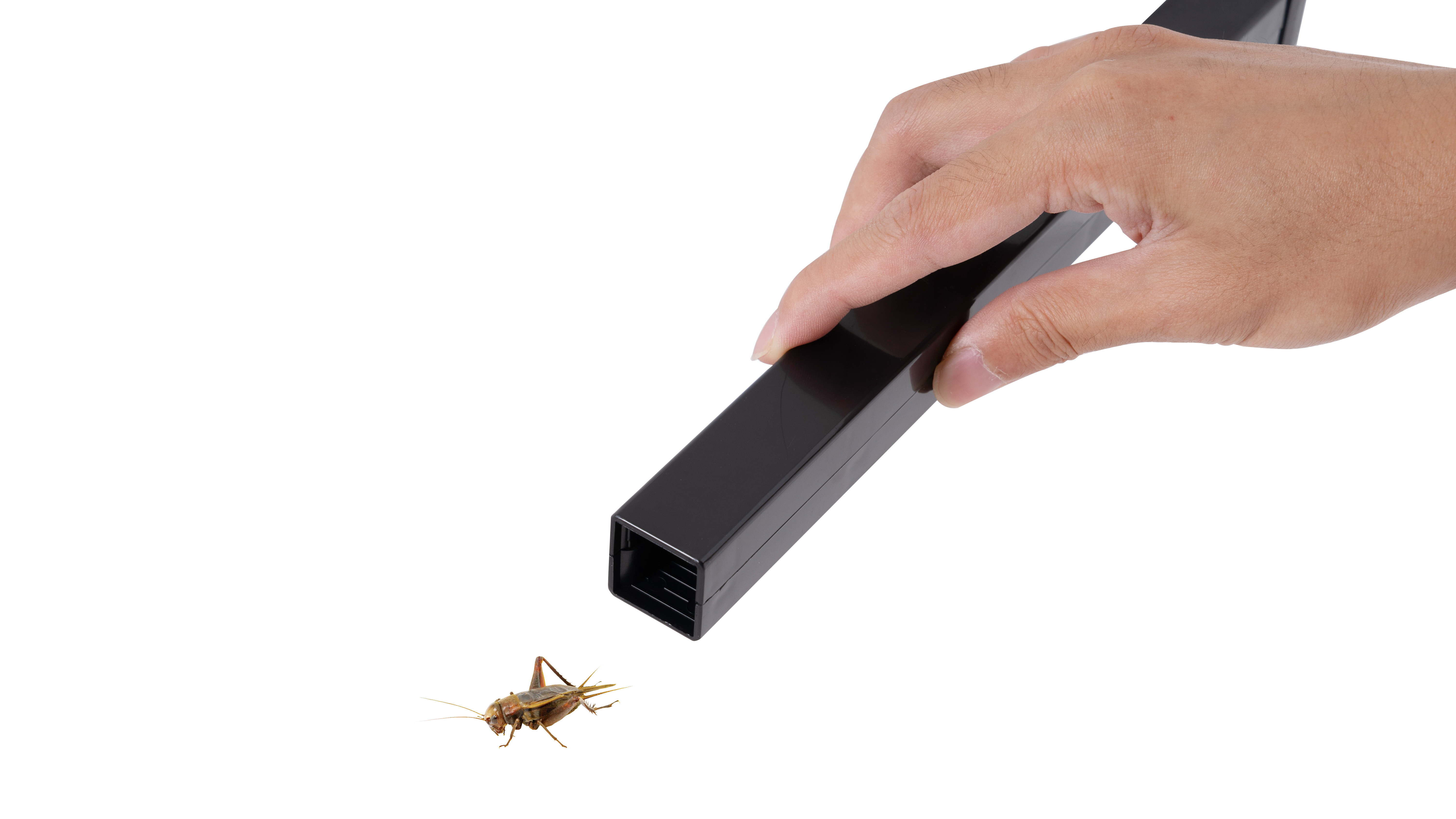 ReptiZoo Cricket Keeper, Heimchenbox, 27 x 17 x 18 cm (RT271718)