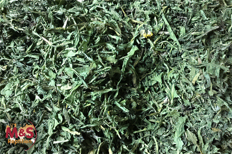 Löwenzahn, getrocknet (250 g)