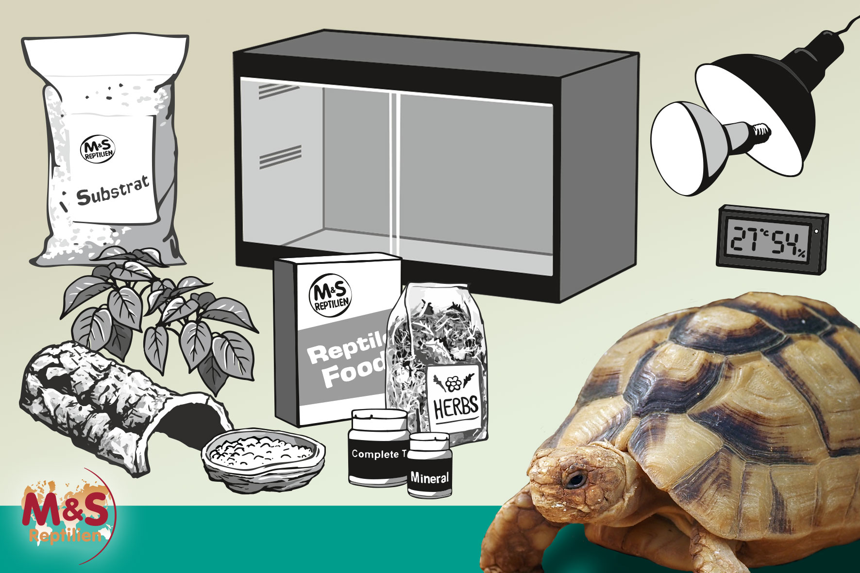 Komplettset: Für kleine Landschildkröten (ca. 100 cm Länge) mit ReptiZoo PVC-Terrarium (CN904545H), 90x45x45cm