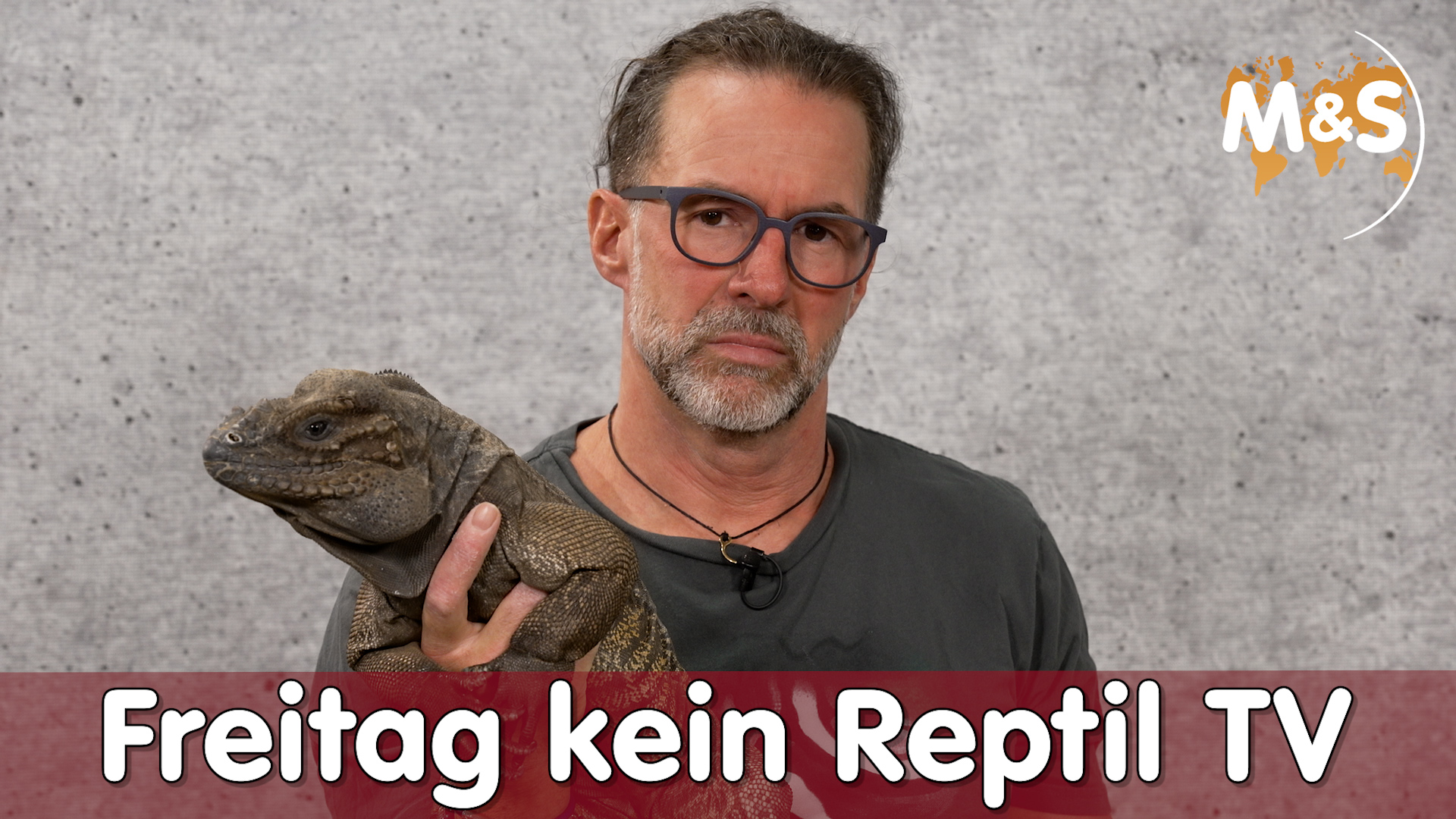 Freitags kein Reptil TV mehr!