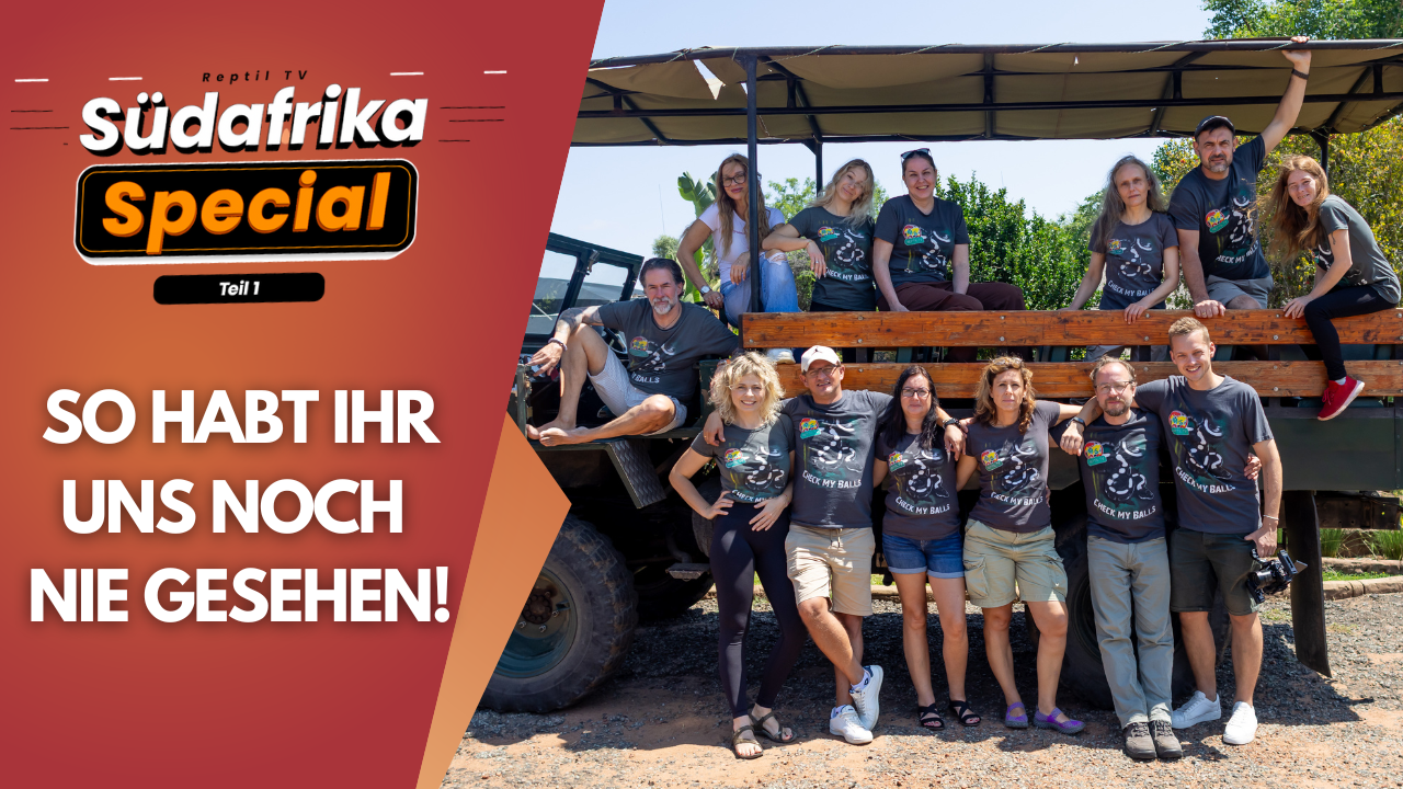 So habt ihr uns noch NIE gesehen – Unser Team hautnah in Südafrika! 🐾🔥