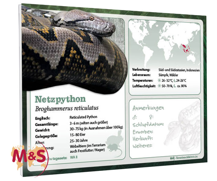 Terrarienschild (Zooschild) Netzpython, Broghammerus reticulatus