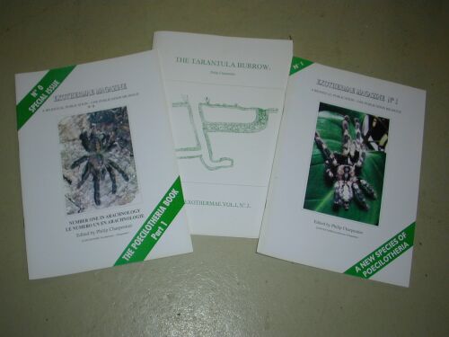 Exothermae Magazin, Heft 0