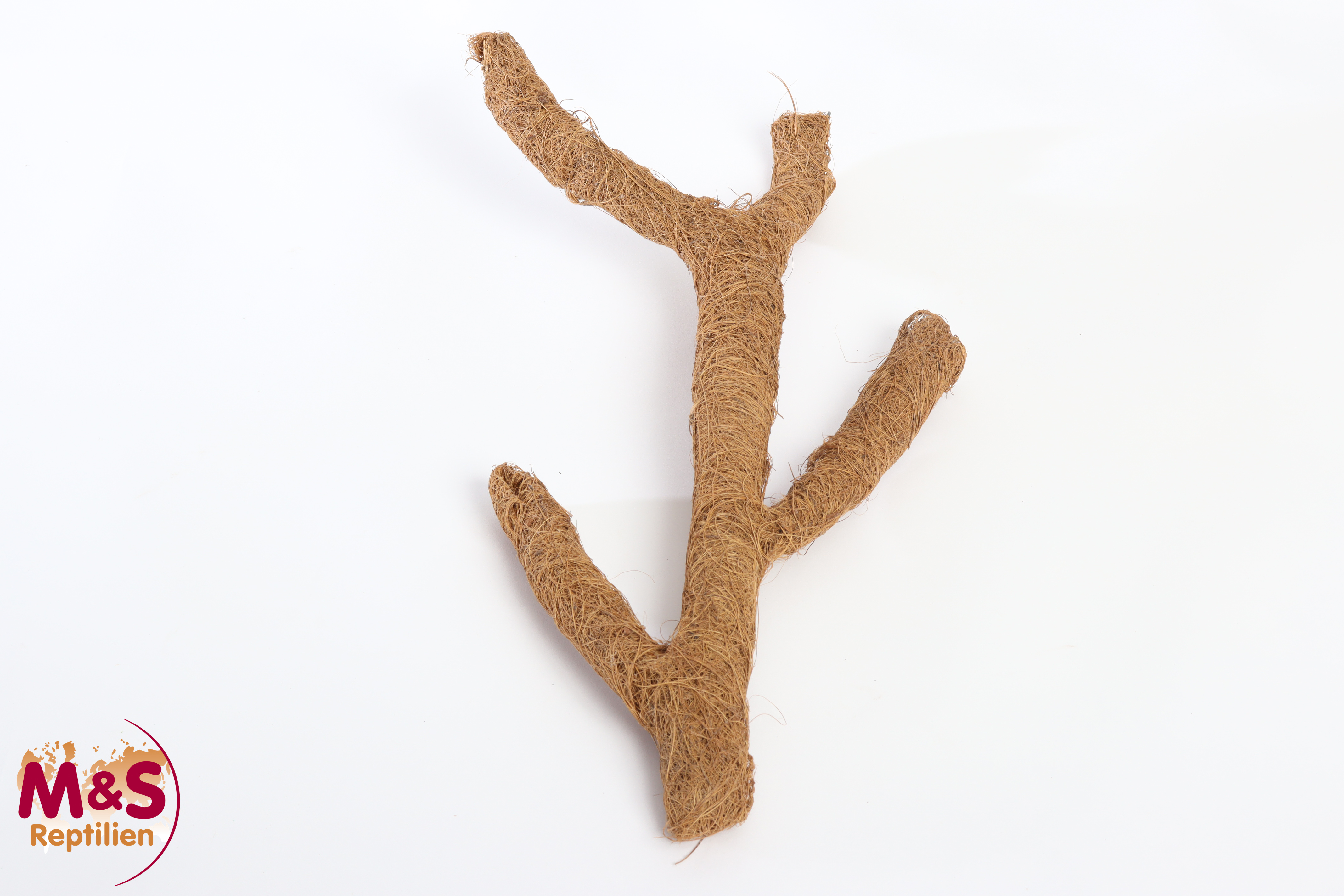 Tronchos "Kokos"