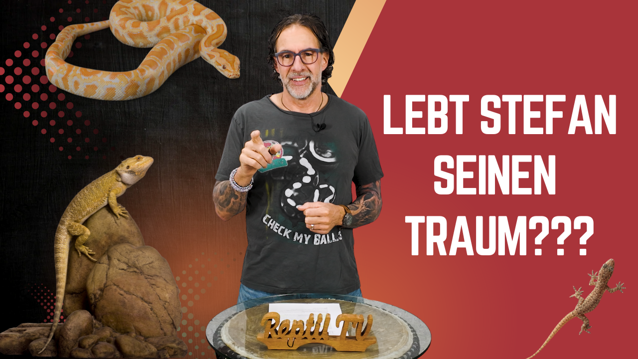 „Wenn ich das damals gewusst hätte…“ – Stefan wird ehrlich - Daktari, Reptilien & ein Traum