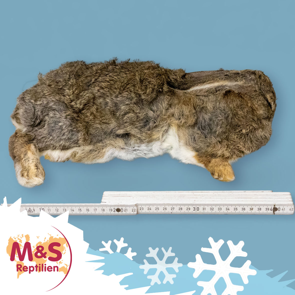 Hase gefroren. ca. 2 kg
