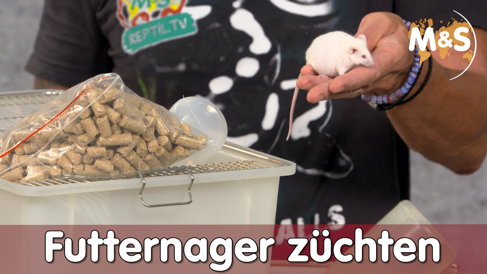 Futternager zuhause züchten? | Maus & Ratte | Reptil TV