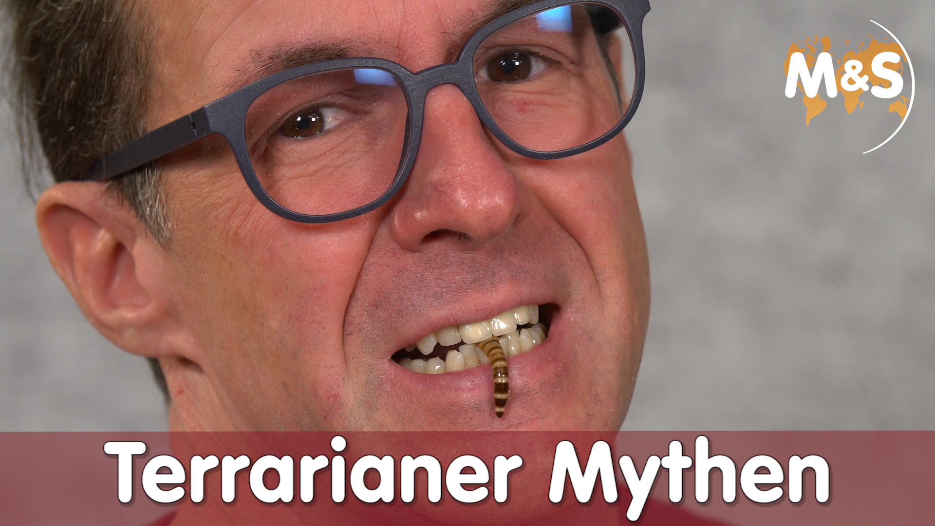 Mythen der Terraristik | Richtig oder Falsch ? | Reptil TV