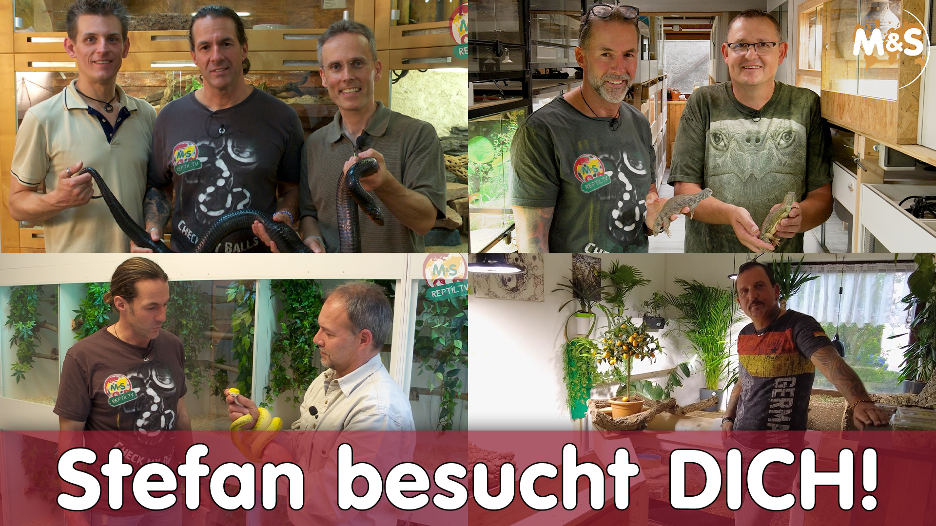 Terraristik Homestories | Stefan besucht DICH !