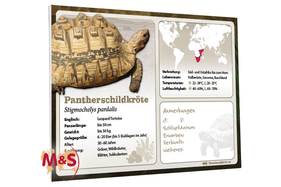 Terrarienschild (Zooschild) Pantherschildkröte, Stigmochelys pardalis