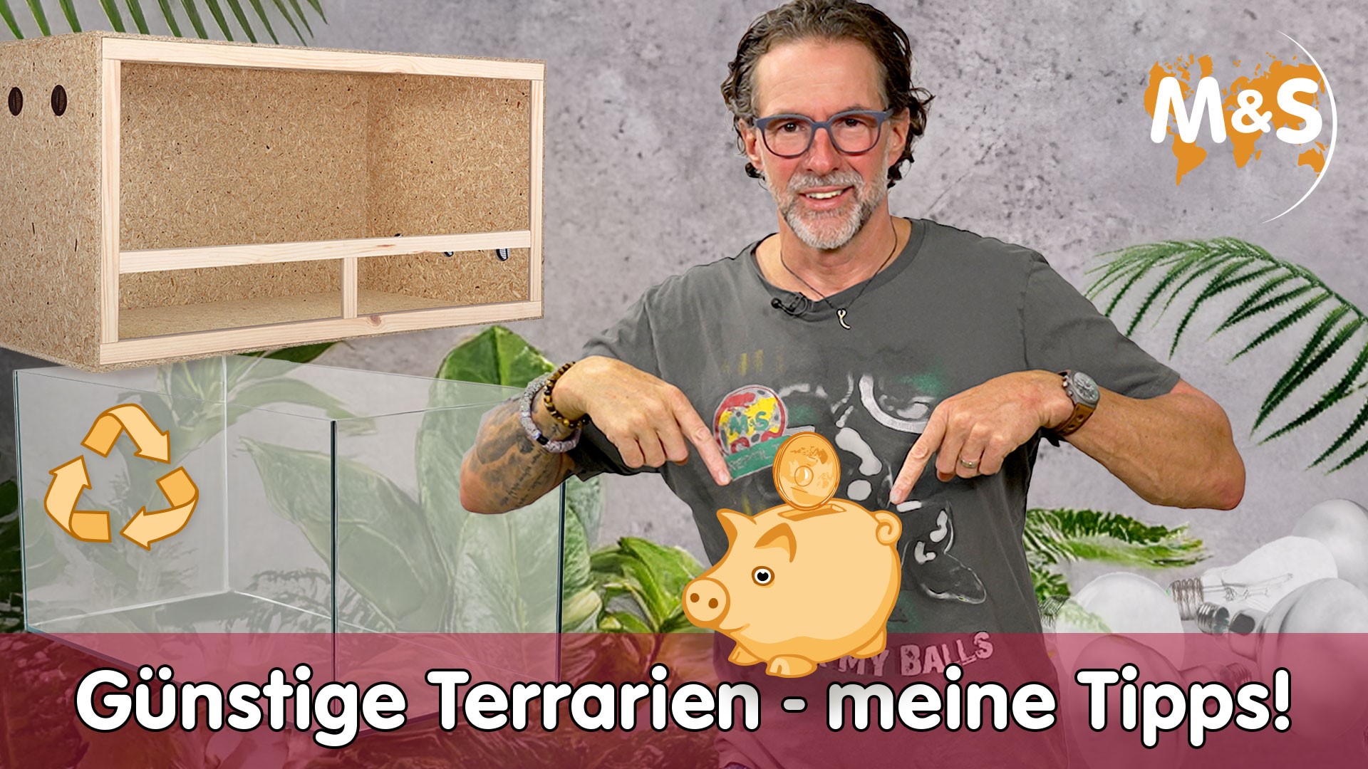 Günstige Terrarien für Einsteiger | Meine Tipps!