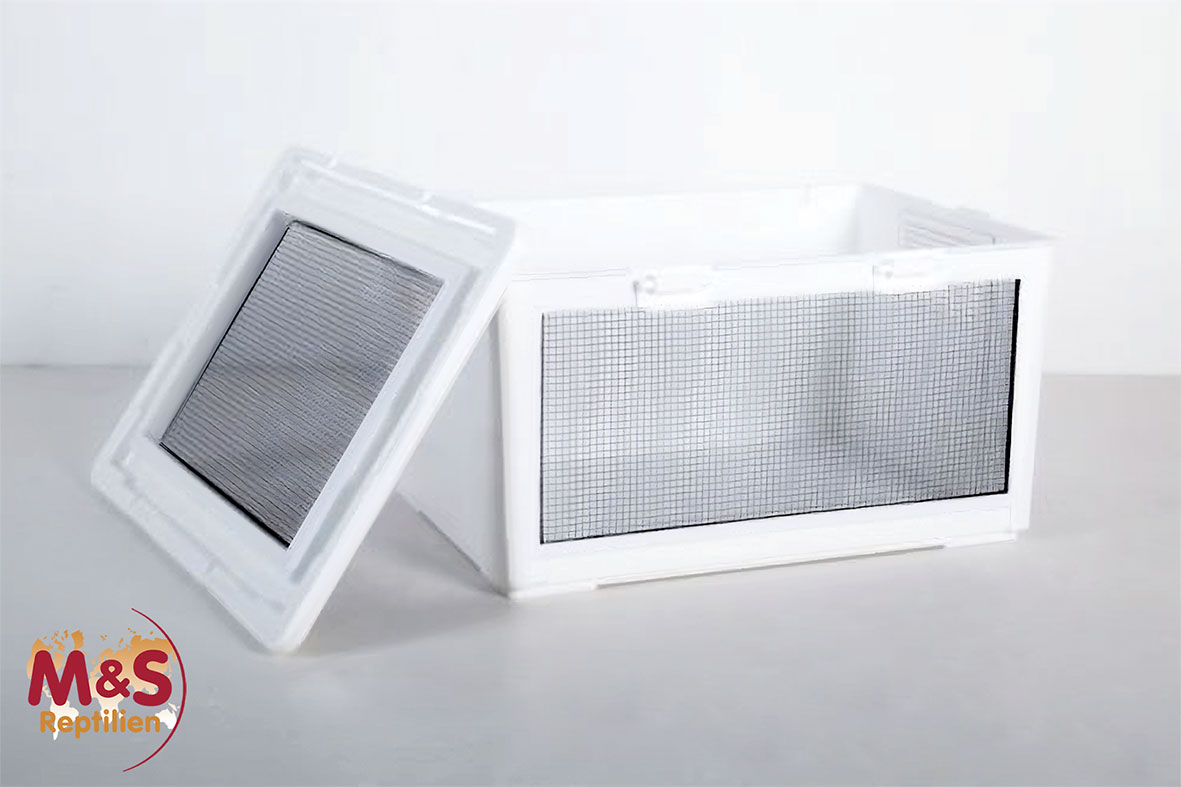 Kunststoffterrarium / Kleintierkäfig / Transportbox -medium- 50x35x26cm (RT2022CM)