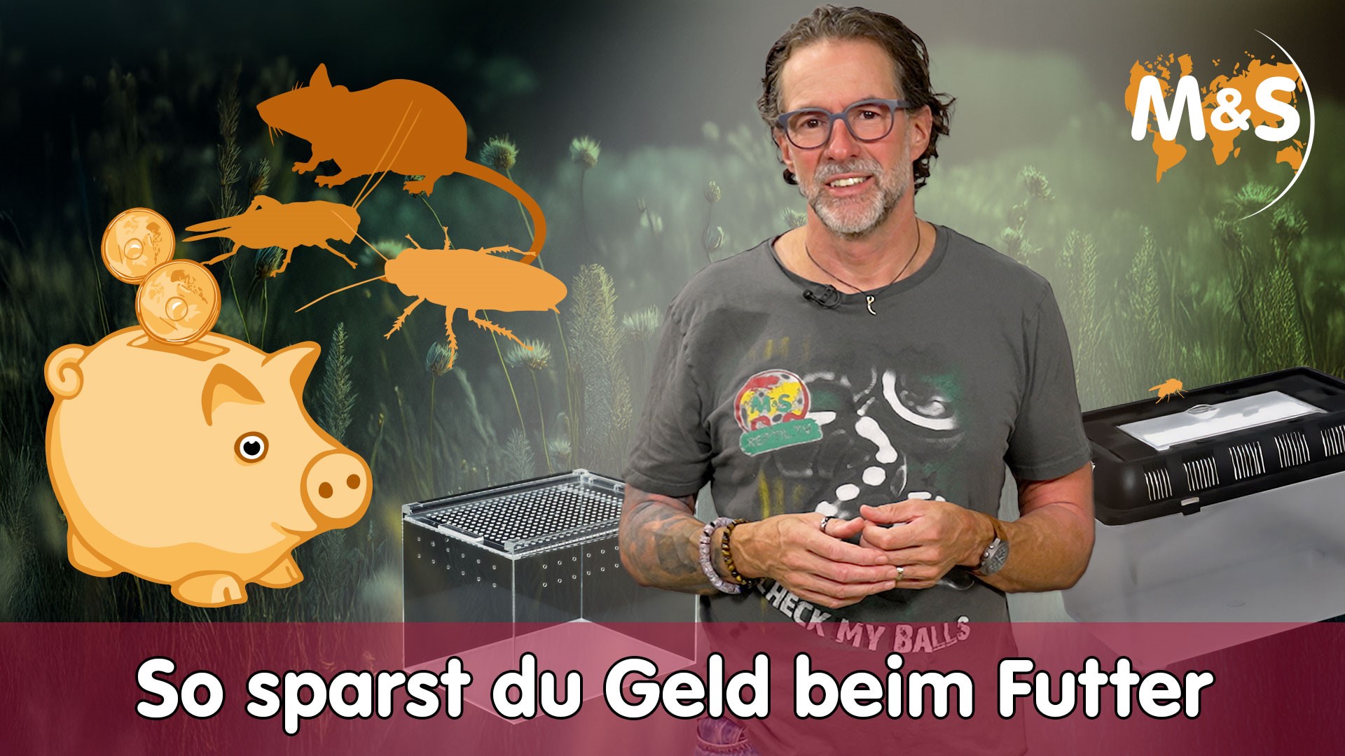 So sparst du Geld beim Futter | Insekten & Nagetiere